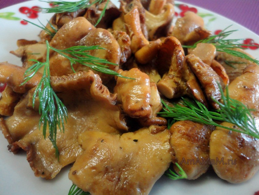 Картошечка с лисичками