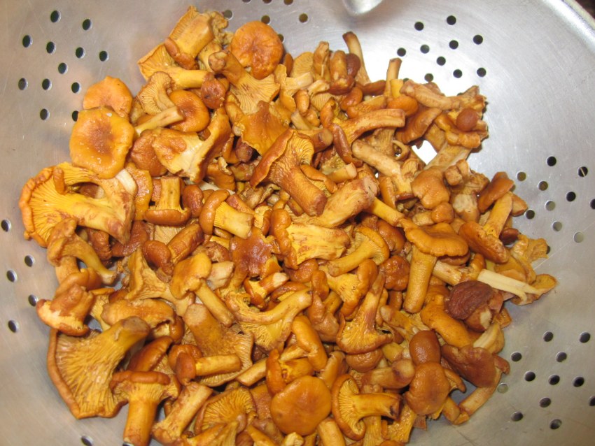 Жареная картошка с лисичками