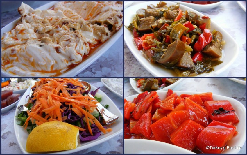 Лахмакун турецкая