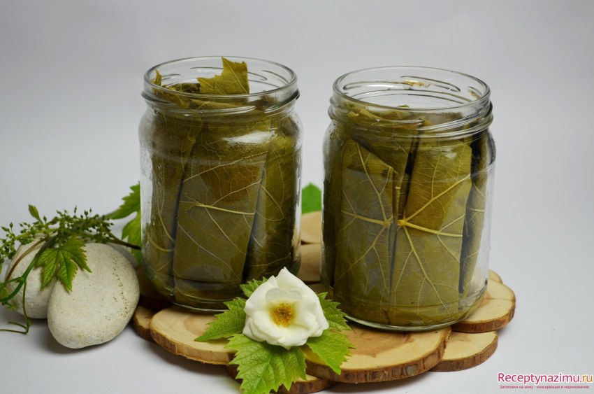 Виноградные листья для долмы консервированные