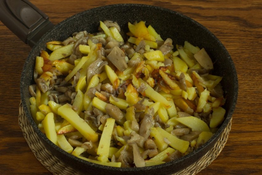 Жареные грибы вешенки с картошкой