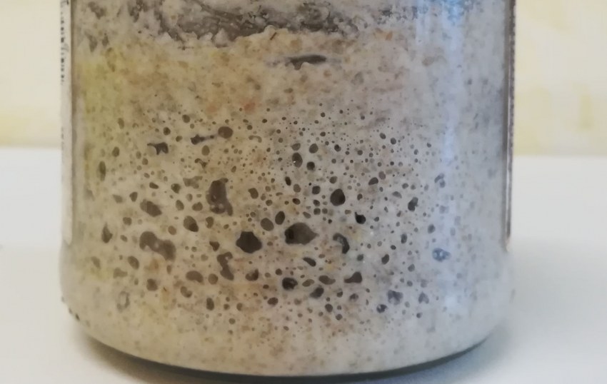 Банка для закваски