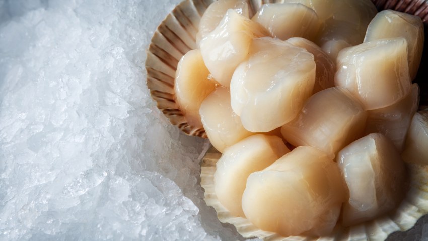 Морской гребешок деликатес