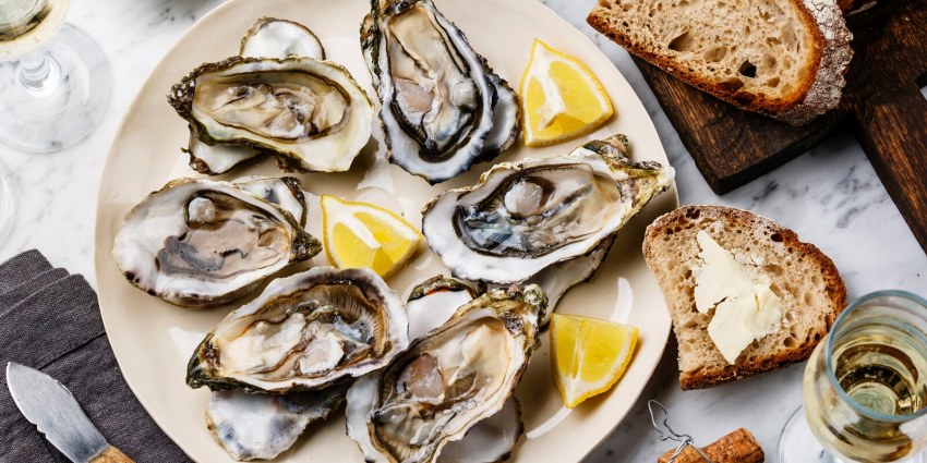 Oysters устрицы