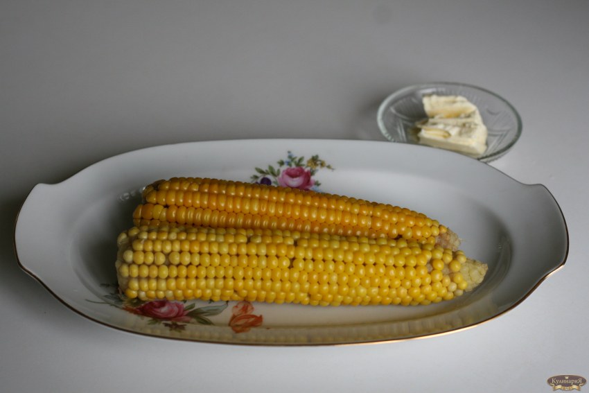 Кукуруза домашняя