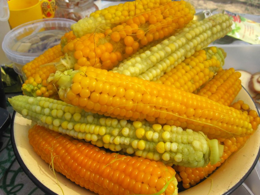 Грузия кукуруза вареная