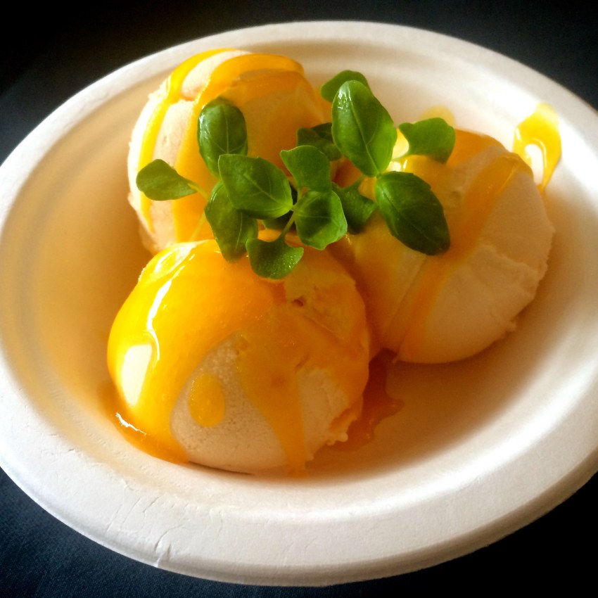 Passion Fruit Ice Cream