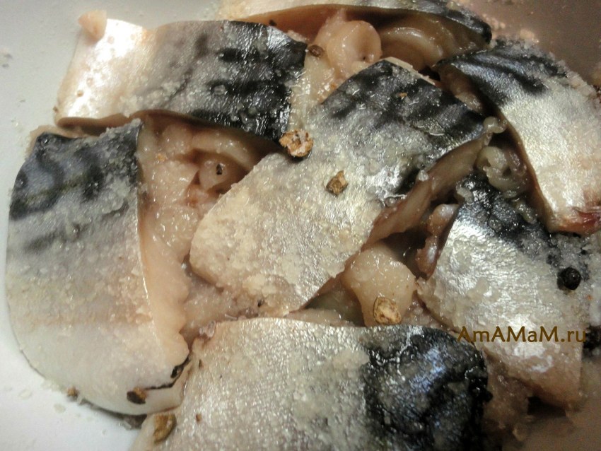 Засолка скумбрии сухим способом кусочками