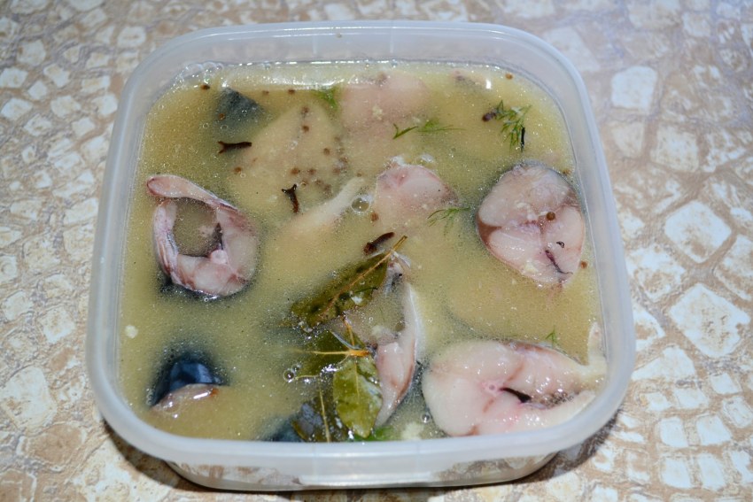Скумбрия соленая с горчицей