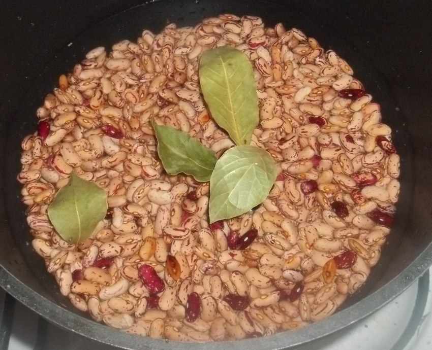 Лобио Ласточка фасоль