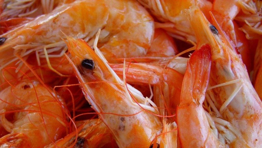 Симметрия креветки