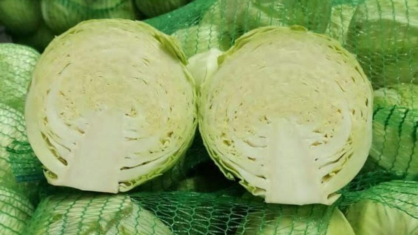 Капуста краснокочанная 1шт.