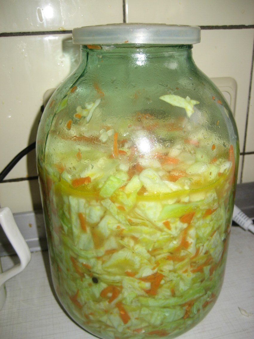 Соленая капуста