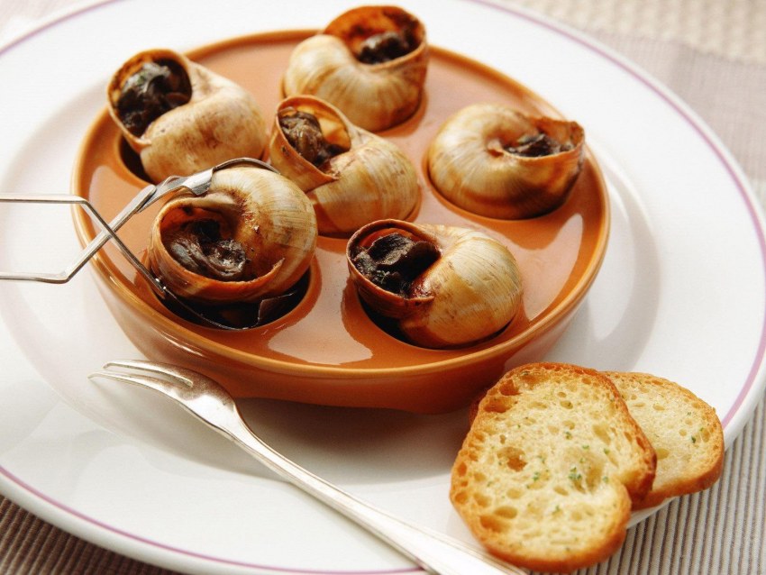 Улиточное мясо чем полезно