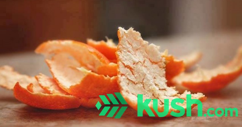 Карамель апельсин Корея