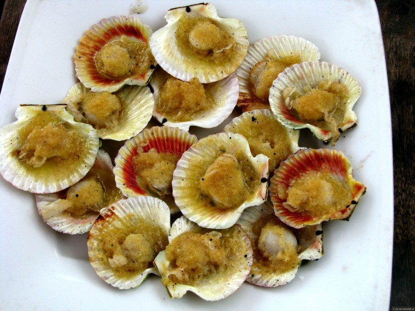 Раковина морского гребешка