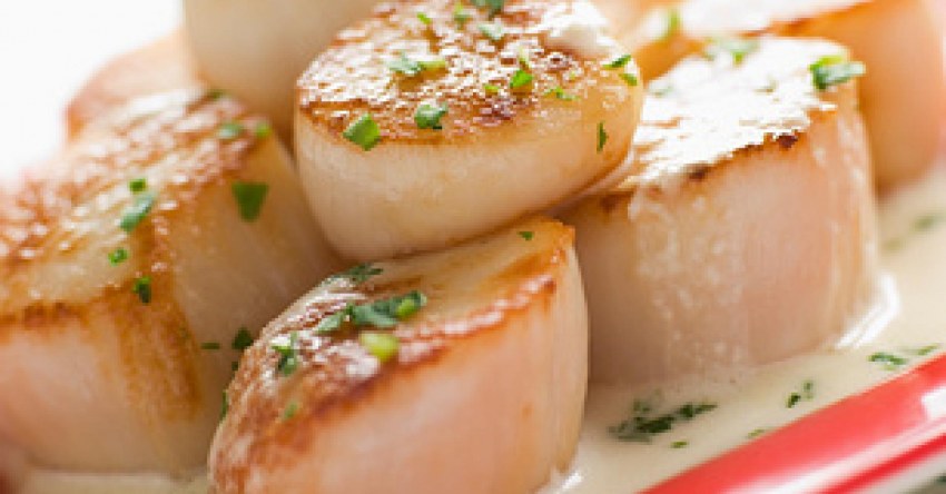 Морской гребешок отварной с соусом