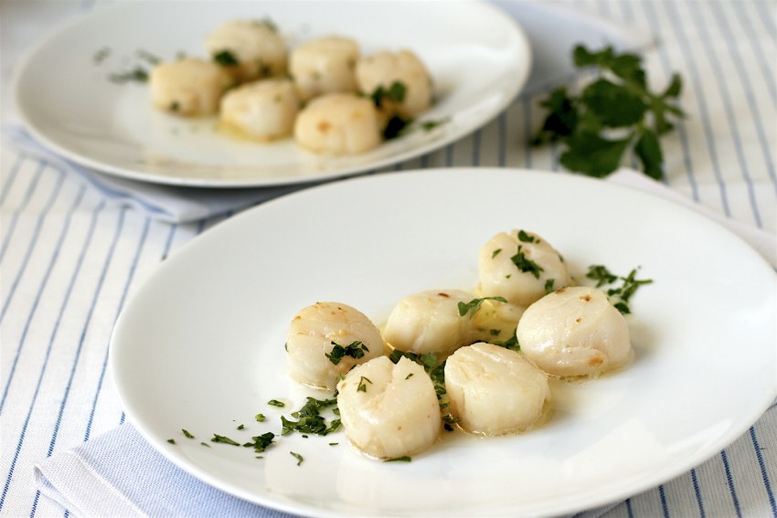 Морской гребешок жареный