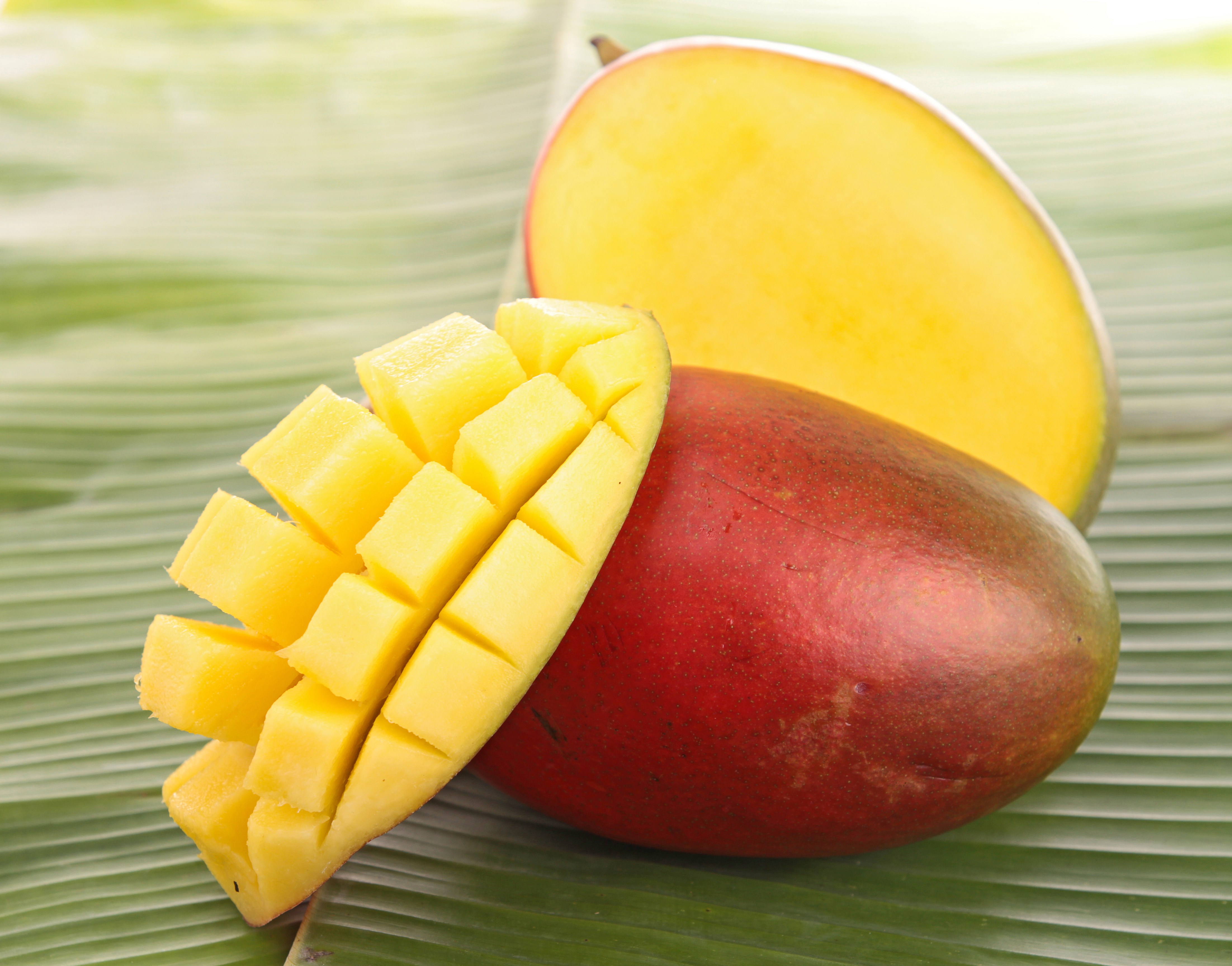 Полезные витамины манго. Манго (фрукт). Манго Кео Савое. Манго фрукт Джоджо. Фрукт манго Экстра.