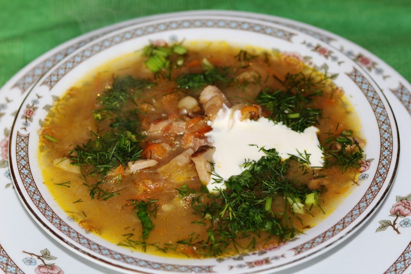 Щи на мясном бульоне