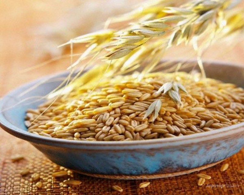 Крупа пшённая дробленная