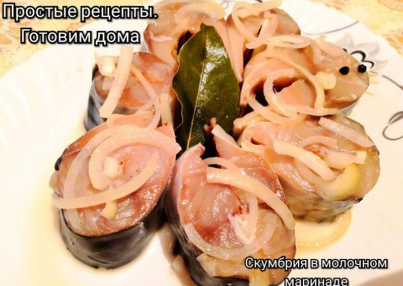 Скумбрия пряная малосольная