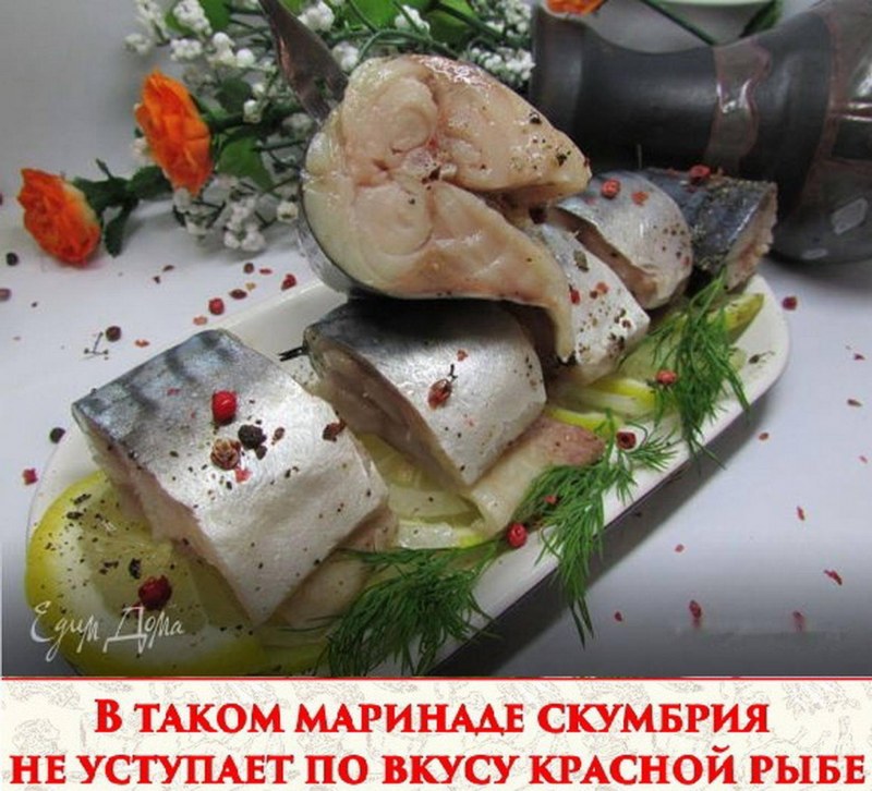 Скумбрия пряного посола кусочками