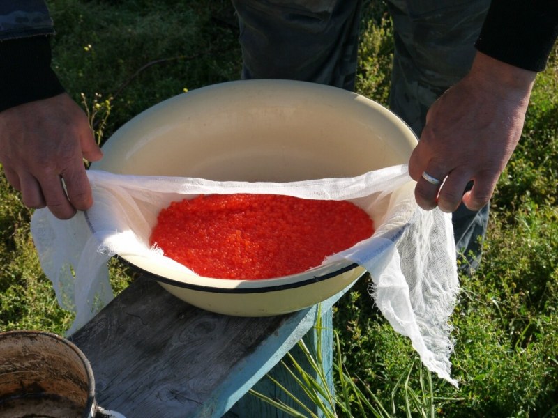 Икра мелкая