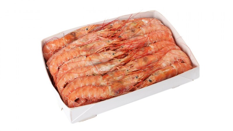 Лангустины Аргентинские