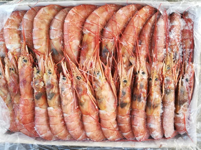 Лангустины l1 Аргентина