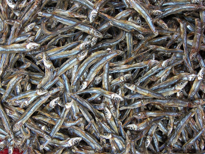 Dried anchovies