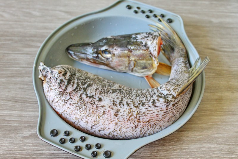 Рыба щука