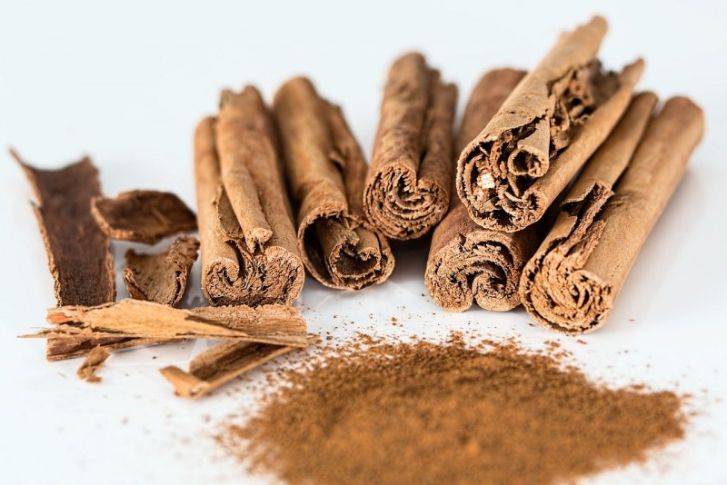 Корица цейлонская растение