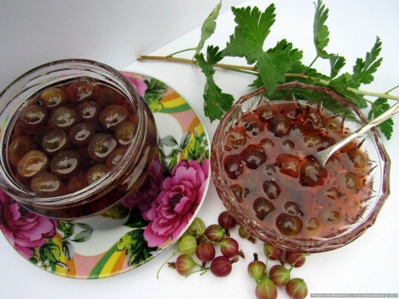 Ягода черная смородина и крыжовник