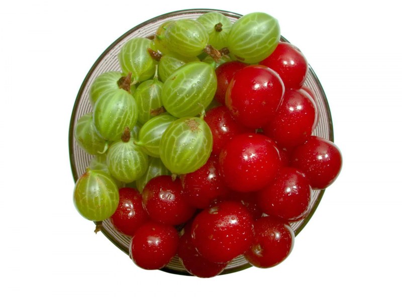 Крыжовник ягода