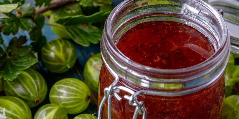 Малина смородина вишня крыжовник
