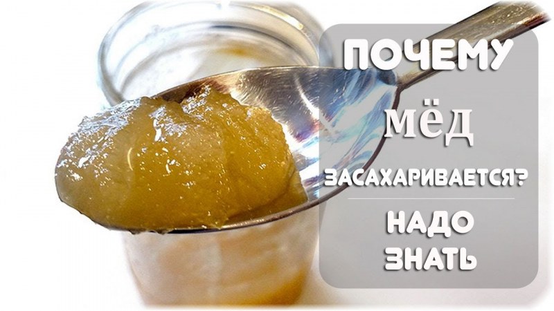 Мёд разнотравье засахаренный