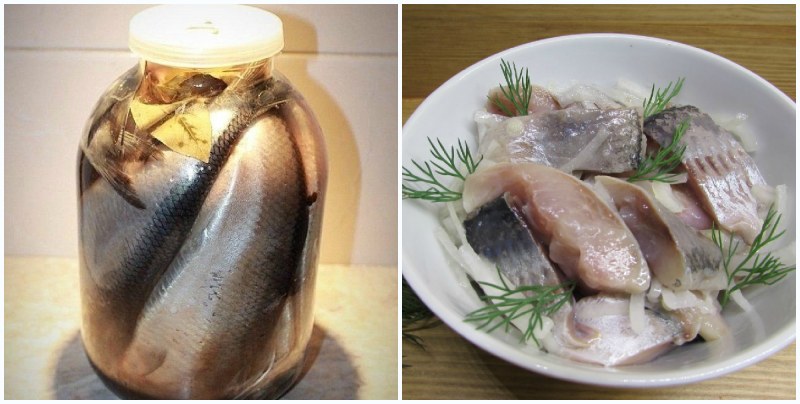 Селедка с луком и зеленью