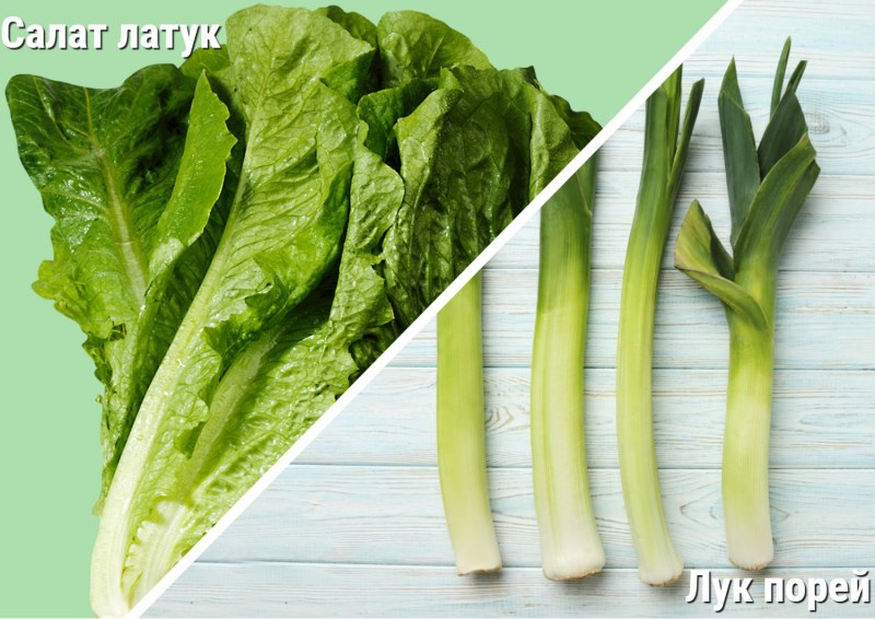 Фаршированный лук порей