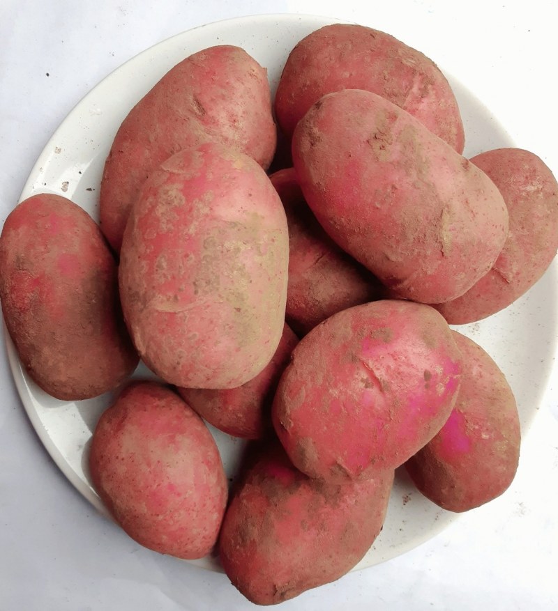 Картофель красный