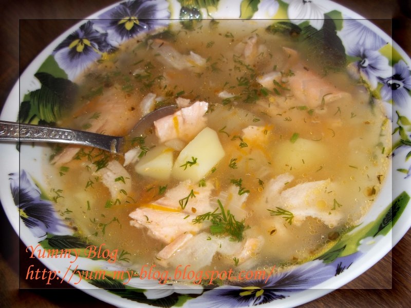 Уха из красной рыбы