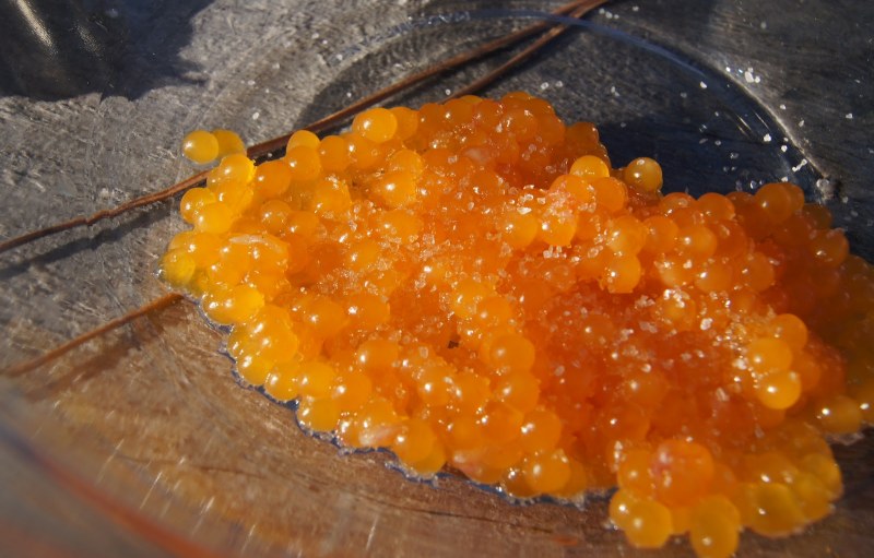 Красная икра форели