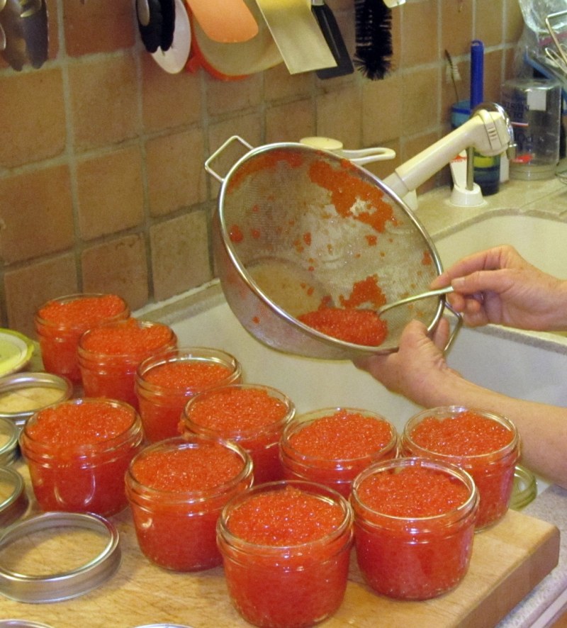 Чавыча семга форель