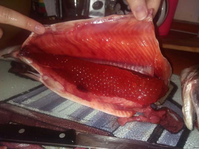 Карельская форель соленая