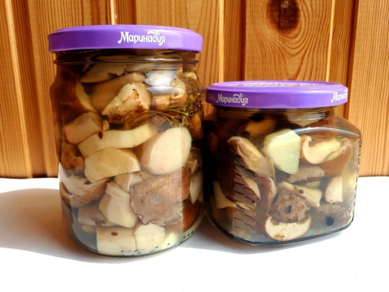 Шампиньоны маринованные белый фон