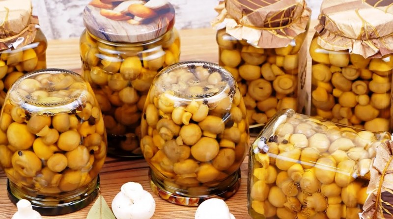 Вешенки грибы Мариновка