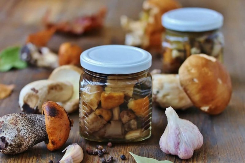 Маринованные горькушки