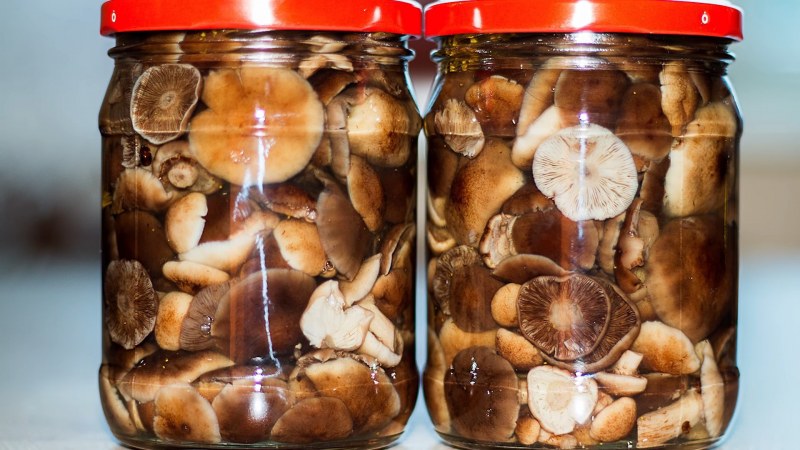 Pickled champignons