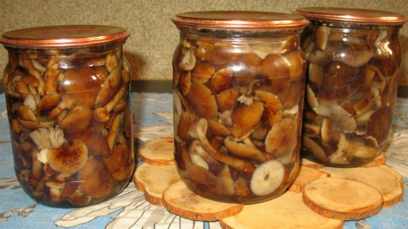 Маринация грибов белых