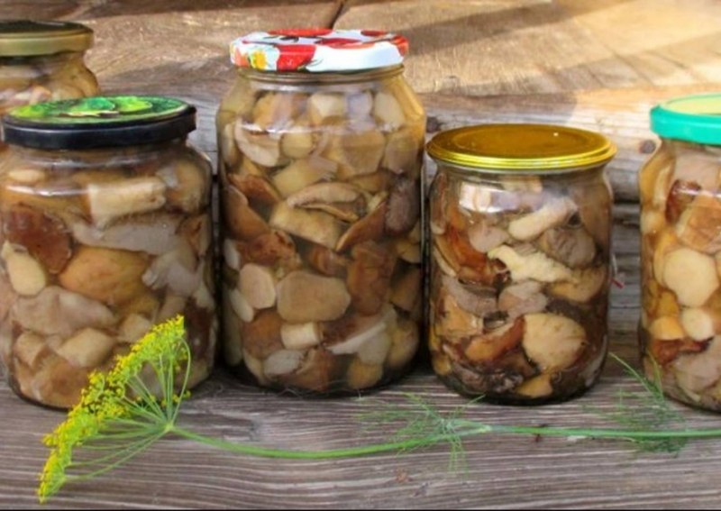 Маленькие маринованные грибы